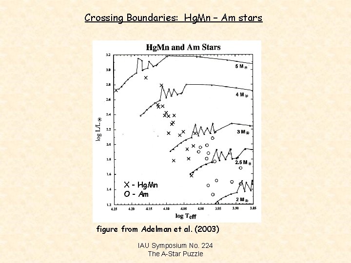 Crossing Boundaries: Hg. Mn – Am stars X - Hg. Mn O - Am