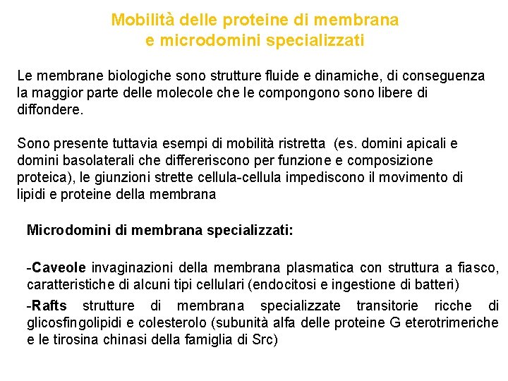 Mobilità delle proteine di membrana e microdomini specializzati Le membrane biologiche sono strutture fluide