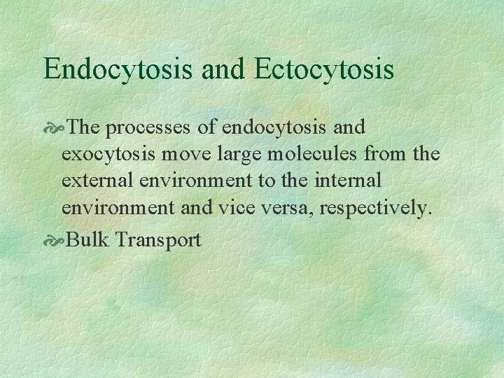 Endocytosis and Ectocytosis The processes of endocytosis and exocytosis move large molecules from the