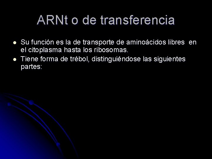 ARNt o de transferencia l l Su función es la de transporte de aminoácidos