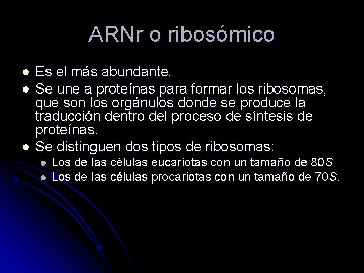 ARNr o ribosómico l l l Es el más abundante. Se une a proteínas