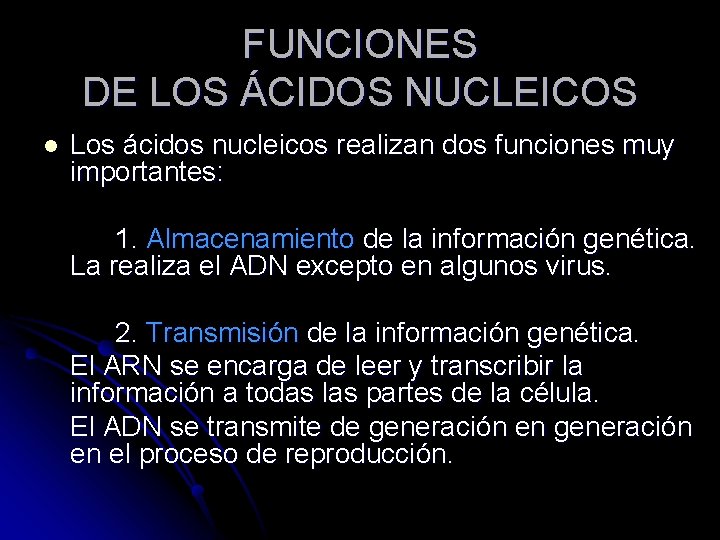 FUNCIONES DE LOS ÁCIDOS NUCLEICOS l Los ácidos nucleicos realizan dos funciones muy importantes:
