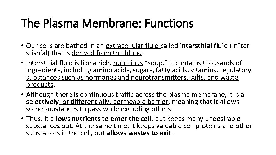 The Plasma Membrane: Functions • Our cells are bathed in an extracellular fluid called