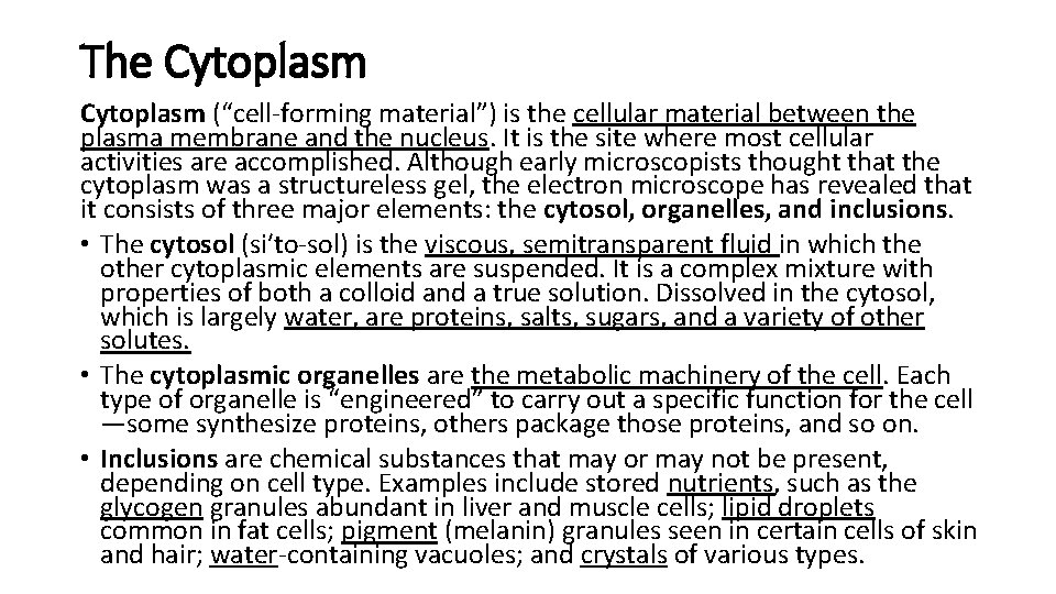 The Cytoplasm (“cell-forming material”) is the cellular material between the plasma membrane and the