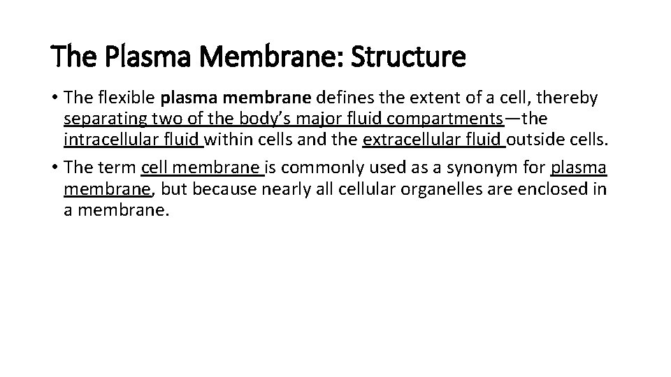 The Plasma Membrane: Structure • The flexible plasma membrane defines the extent of a