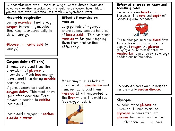 B 2 Aerobic Respiration temperature water plants energy