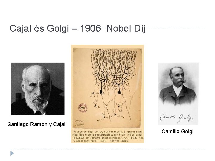 Cajal és Golgi – 1906 Nobel Díj Santiago Ramon y Cajal Camillo Golgi 