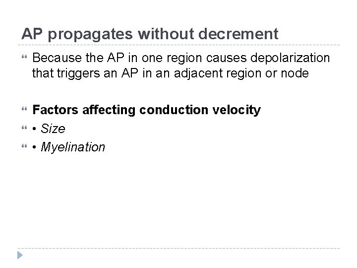 AP propagates without decrement Because the AP in one region causes depolarization that triggers