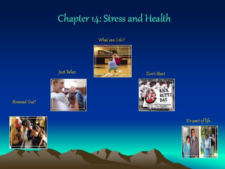 Chapter 14: Stress and Health What can I do? Just Relax Don’t Start Stressed