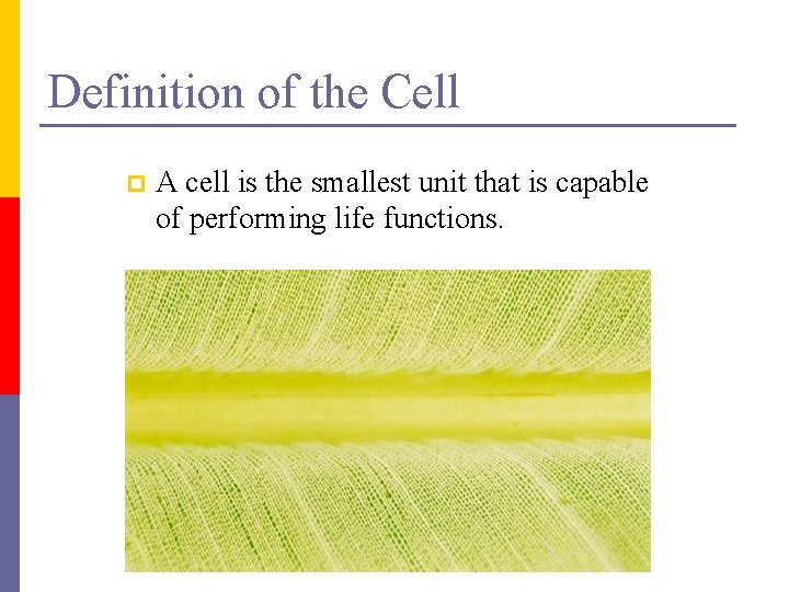 Definition of the Cell p A cell is the smallest unit that is capable