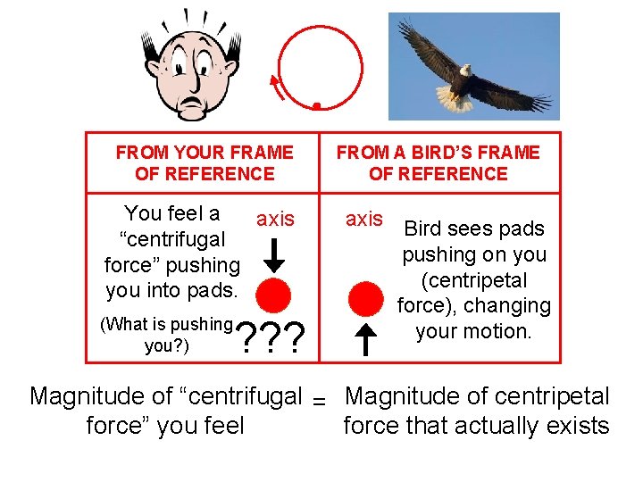 FROM YOUR FRAME OF REFERENCE You feel a axis “centrifugal force” pushing you into