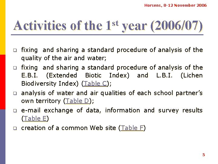 Horsens, 8 -12 November 2006 Activities of the 1 st year (2006/07) q fixing