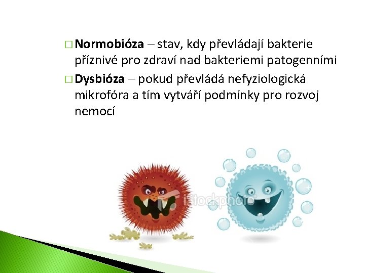 � Normobióza – stav, kdy převládají bakterie příznivé pro zdraví nad bakteriemi patogenními �