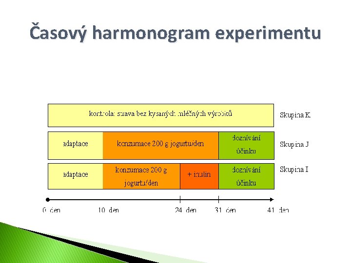 Časový harmonogram experimentu 