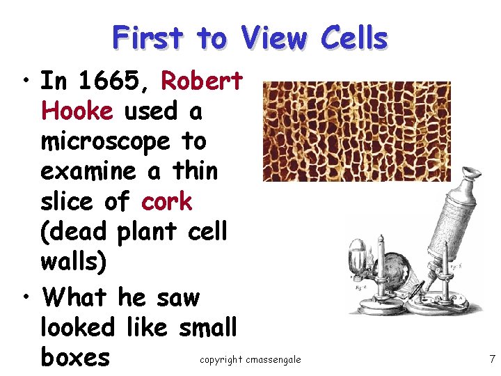 First to View Cells • In 1665, Robert Hooke used a microscope to examine