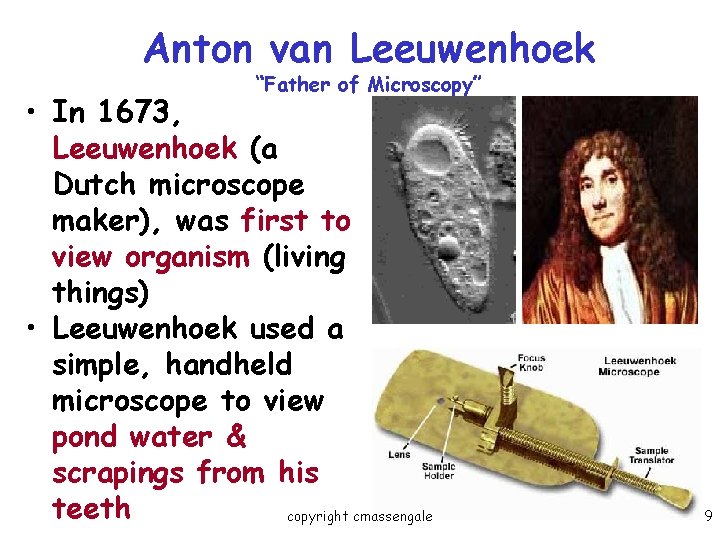 Anton van Leeuwenhoek “Father of Microscopy” • In 1673, Leeuwenhoek (a Dutch microscope maker),