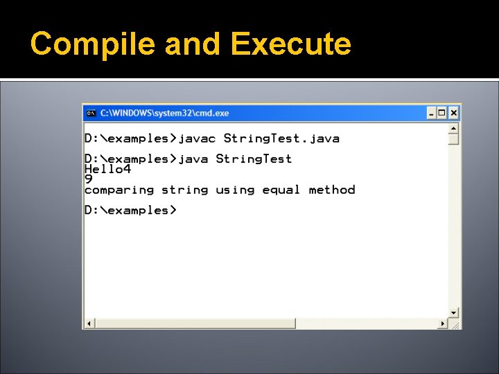 Compile and Execute 
