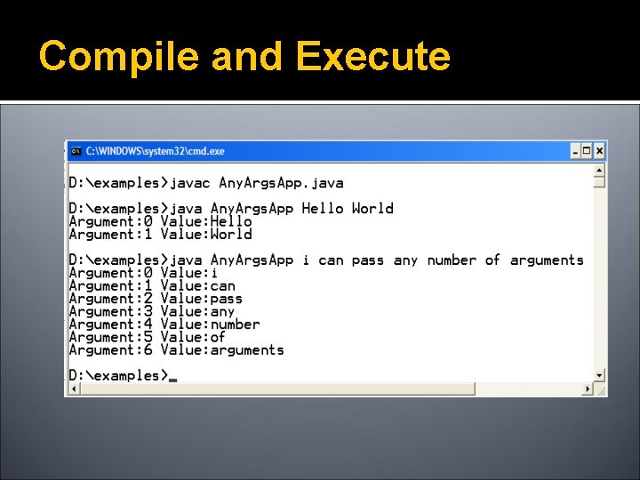Compile and Execute 