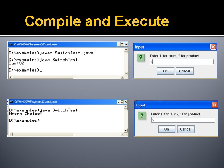Compile and Execute 