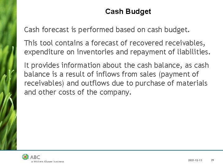 Cash Budget Cash forecast is performed based on cash budget. This tool contains a