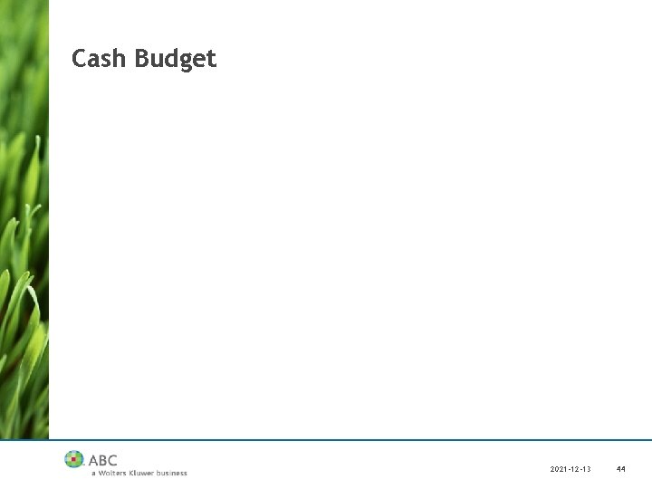 Cash Budget 2021 -12 -13 44 