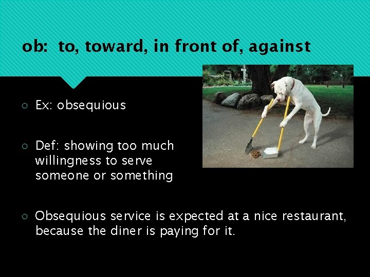 ob: to, toward, in front of, against ○ Ex: obsequious ○ Def: showing too