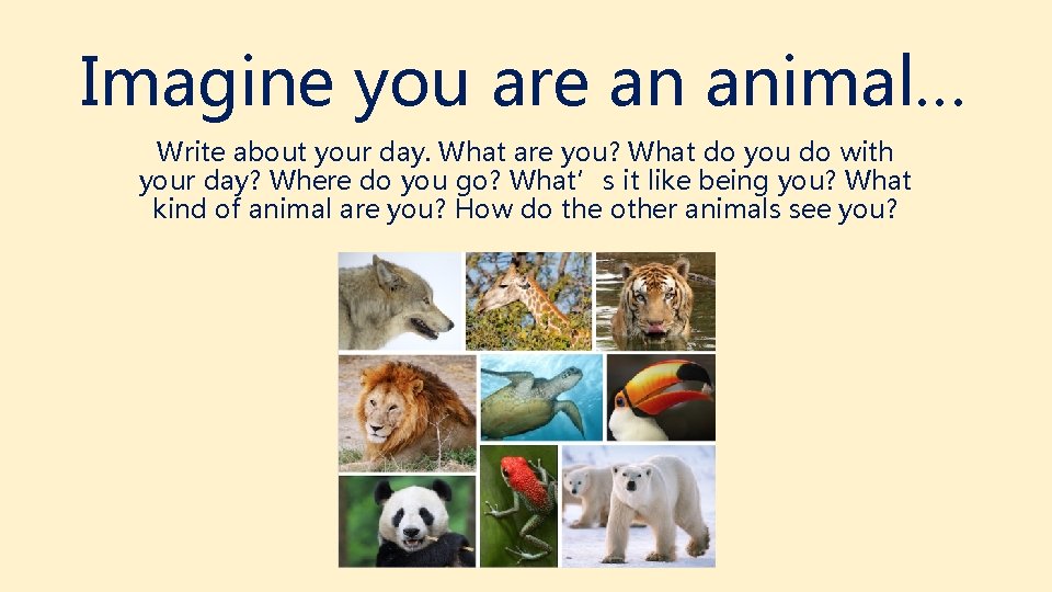 Imagine you are an animal… Write about your day. What are you? What do