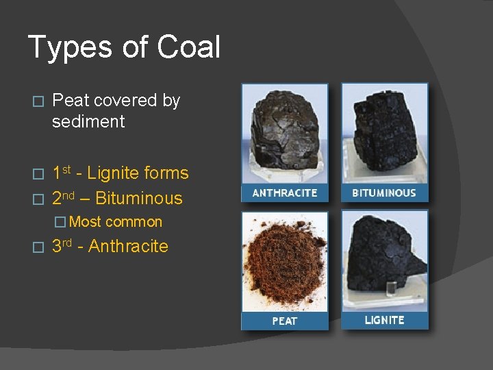 Types of Coal � Peat covered by sediment 1 st - Lignite forms �