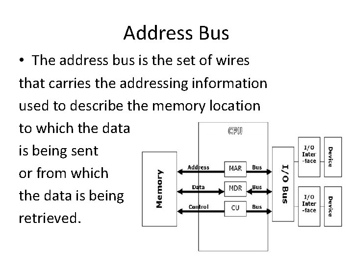 Address Bus • The address bus is the set of wires that carries the Address Bus • The address bus is the set of wires that carries the