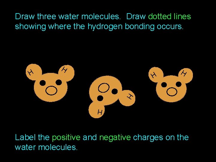 Draw three water molecules. Draw dotted lines showing where the hydrogen bonding occurs. H