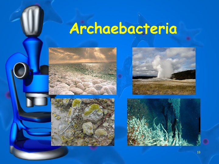 Archaebacteria 10 