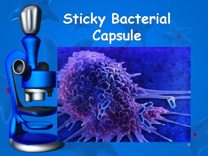 Sticky Bacterial Capsule 15 