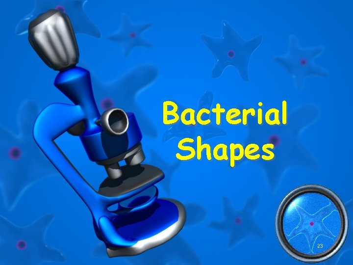 Bacterial Shapes 23 