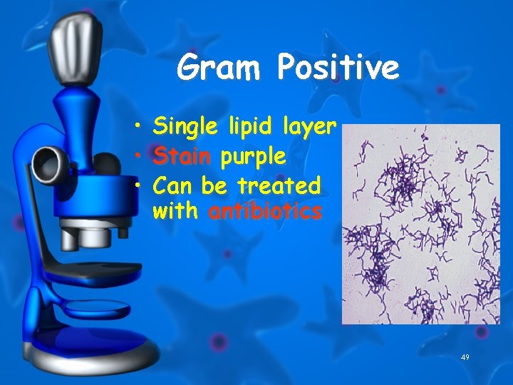 Gram Positive • • • Single lipid layer Stain purple Can be treated with