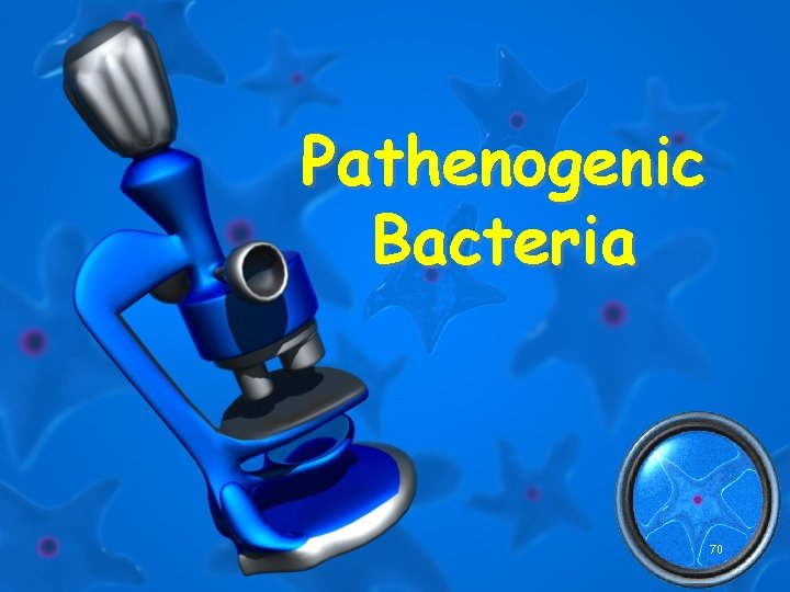 Pathenogenic Bacteria 70 