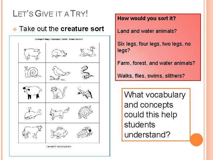 LET’S GIVE IT A TRY! v Take out the creature sort How would you