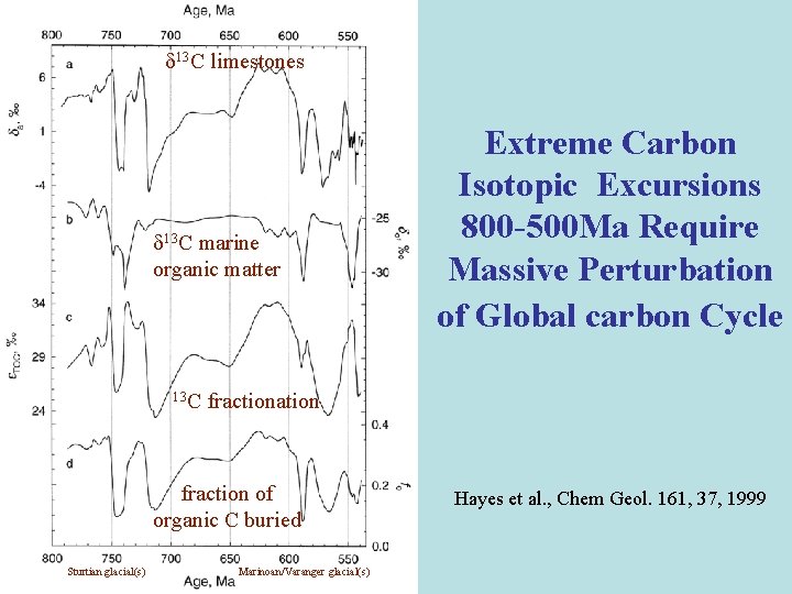  13 C limestones 13 C marine organic matter 13 C fractionation fraction of