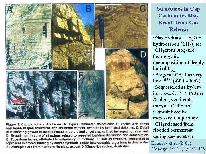 Structures in Cap Carbonates May Result from Gas Release • Gas Hydrate = [H