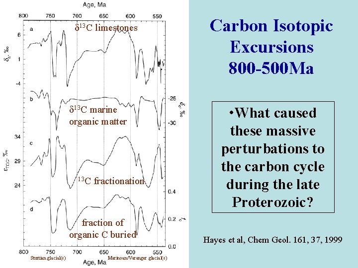  13 C limestones 13 C marine organic matter 13 C fractionation fraction of
