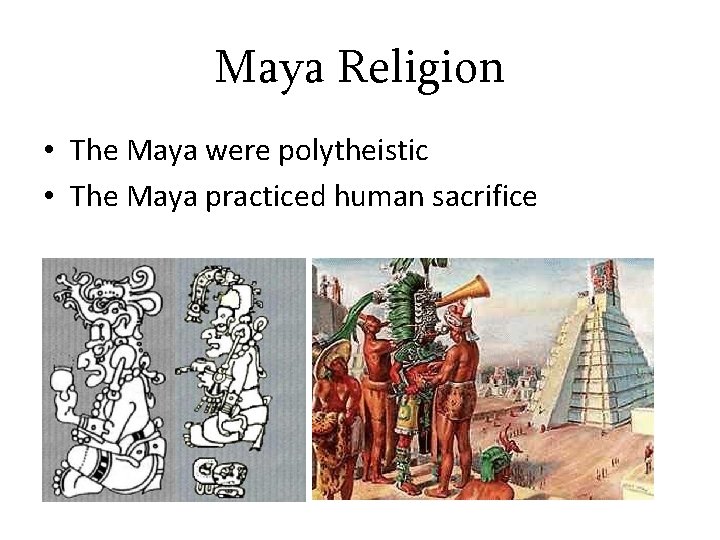 Maya Religion • The Maya were polytheistic • The Maya practiced human sacrifice 