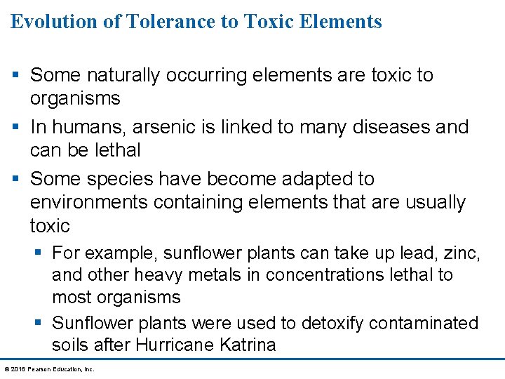 Evolution of Tolerance to Toxic Elements § Some naturally occurring elements are toxic to