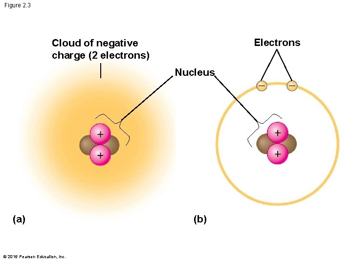 Figure 2. 3 Electrons Cloud of negative charge (2 electrons) Nucleus (a) © 2016