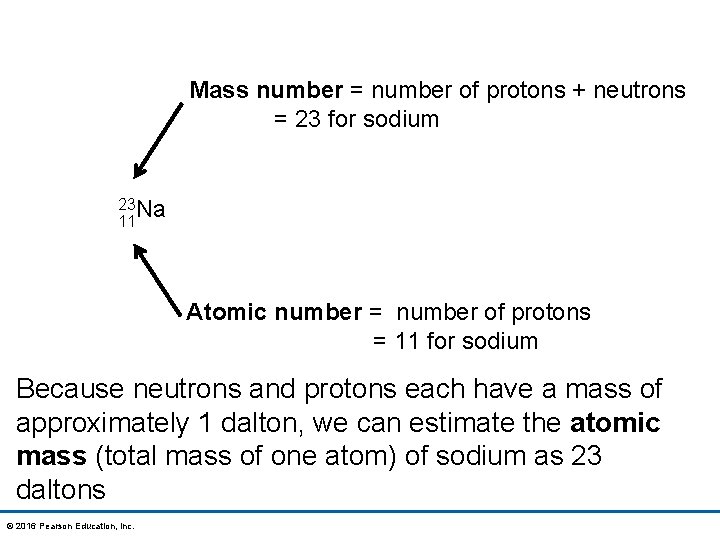 Mass number = number of protons + neutrons = 23 for sodium 23 Na