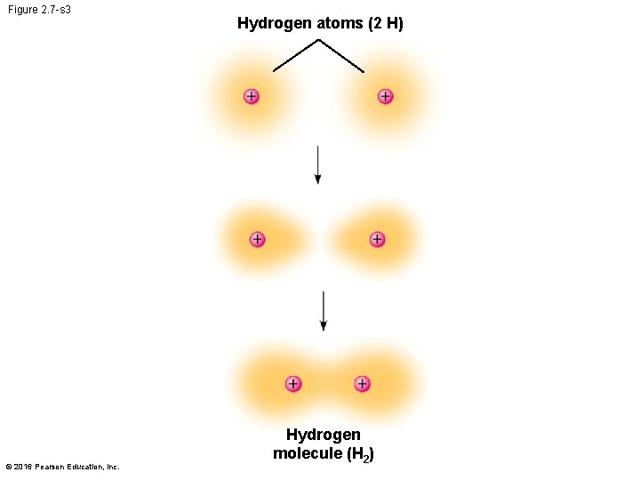 Figure 2. 7 -s 3 © 2016 Pearson Education, Inc. Hydrogen atoms (2 H)