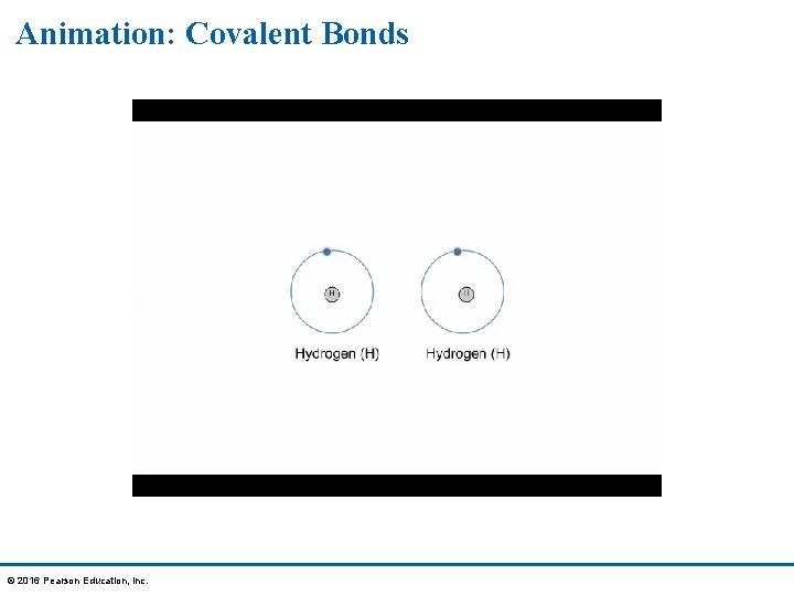 Animation: Covalent Bonds © 2016 Pearson Education, Inc. 