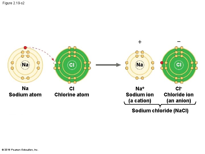 Figure 2. 10 -s 2 Na Cl Na Sodium atom Cl Chlorine atom Na