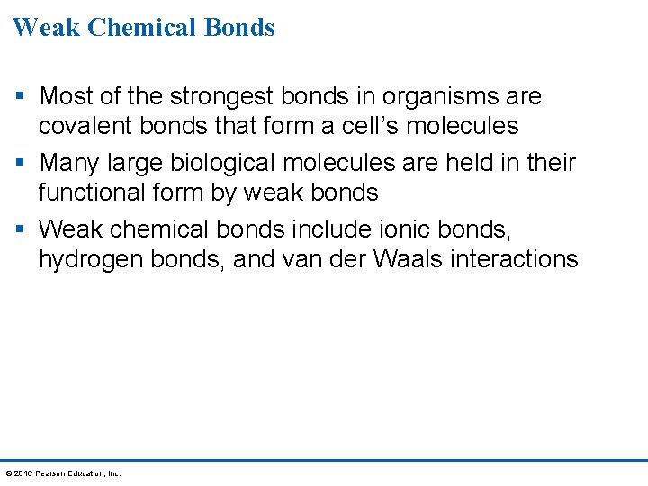 Weak Chemical Bonds § Most of the strongest bonds in organisms are covalent bonds
