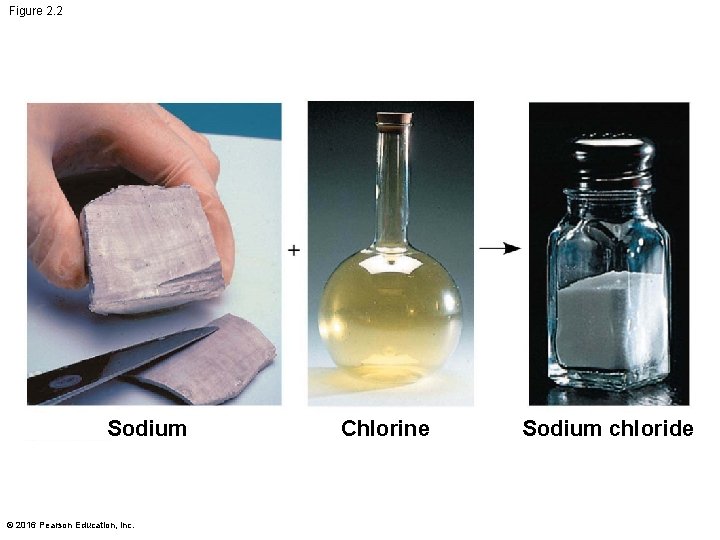 Figure 2. 2 Sodium © 2016 Pearson Education, Inc. Chlorine Sodium chloride 