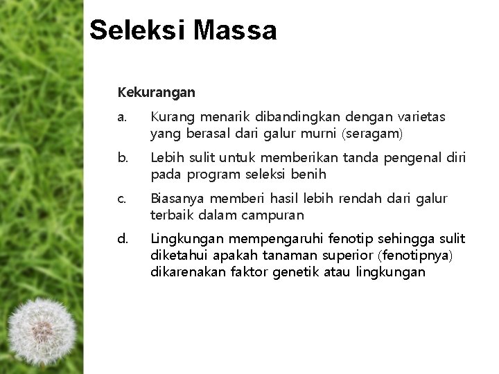 Seleksi Massa Kekurangan a. Kurang menarik dibandingkan dengan varietas yang berasal dari galur murni Seleksi Massa Kekurangan a. Kurang menarik dibandingkan dengan varietas yang berasal dari galur murni