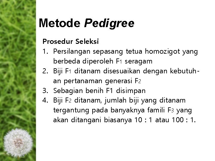 Metode Pedigree Prosedur Seleksi 1. Persilangan sepasang tetua homozigot yang berbeda diperoleh F 1 Metode Pedigree Prosedur Seleksi 1. Persilangan sepasang tetua homozigot yang berbeda diperoleh F 1